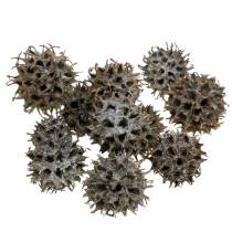 Artikel Amberbaum Zapfen Natur weiß gewaschen 250g