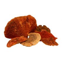 Artikel Baumschwamm Orange 1kg
