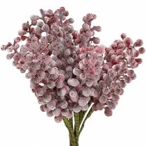 Artikel Beerenpick Rot, geeist 21cm 12 St