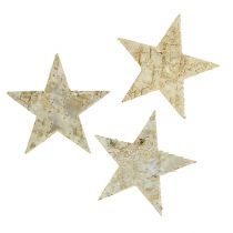 Artikel Birkensterne 9cm 70 St