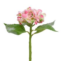 Artikel Hortensie Rosa beschneit 33cm 4 St
