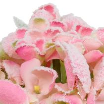 Artikel Hortensie Rosa beschneit 33cm 4 St