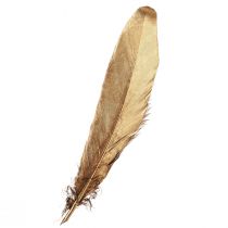 Artikel Deko Federn Gold Weihnachtsdeko Federn 15-20cm 12 St