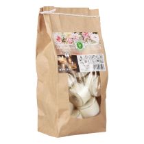 Artikel Duftteelichter Fresh Flower Duft Teelichter Weiß Ø25cm 7h 18 St