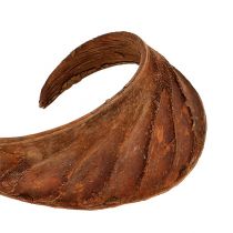 Artikel Elephant Ear Natur 25 St