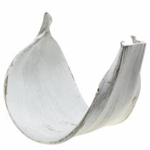 Artikel Kokosschale Kokosblatt Weiß gewaschen Naturdeko 35cm