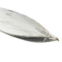 Artikel Kokosschale Kokosblatt weiß gewaschen 60cm