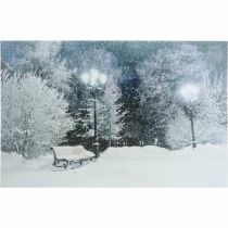 Artikel LED Bild Weihnachten Winterlandschaft mit Parkbank LED Wandbild 58x38cm