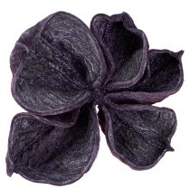 Artikel Landlotus Mix Brombeer, Altrosa 50 St