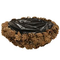 Artikel Pflanzschale Echte Zapfen Zapfenschale Natur Ø28cm H9cm
