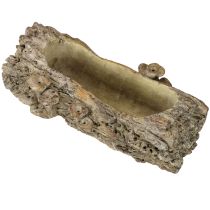Artikel Pflanzschale Steinguss Baumstamm mit Pilzen 36×18×12,5cm