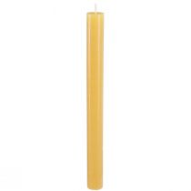 Artikel Stabkerzen durchgefärbt Kerzen Honig 21×240mm 12 St