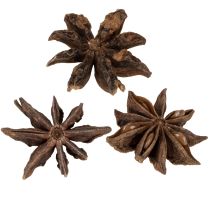 Artikel Sternanis Deko Bastelartikel Naturdeko Anis getrocknet 500g