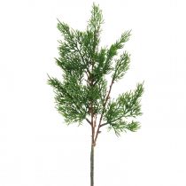 Artikel Weihnachtszweige Zypresse Dekozweig Zypressenzweige 50cm 4 St