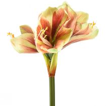 Artikel Künstliche Amaryllis Blume in Rosa und Gelb – 66 cm – Ideale Geschenkidee und stilvolle Dekoration für Innenräume