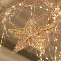 Artikel Christbaumschmuck, Adventsdeko, Stern-Anhänger Golden B20,5cm 6 St