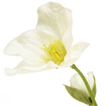 Artikel Christrosen Kunstblumen Weiß Weihnachtsdeko 37cm 2St