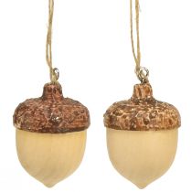 Artikel Eichel zum Aufhängen Deko Herbst natur/braun 5,3x3,5cm 12 Stück