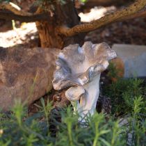 Artikel Pilz Deko Steinguss Figur Gartendeko Grau 18×16×25cm