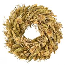 Artikel Trockenkranz Kardendisteln Hirse Gelb Olivgrün Ø28cm