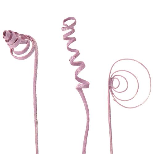 Cane Coil Cane Cone Cane Sortiment Berry 30cm 75 St