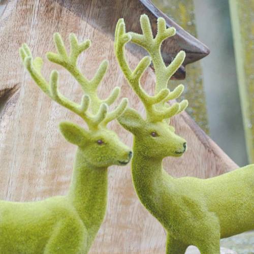 Artikel Deko-Rentier beflockt Moosgrün 20cm 2 St