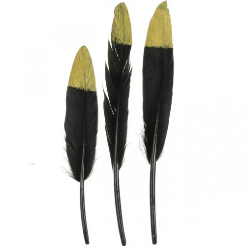 Deko Federn Schwarz, Gold Echte Federn zum Basteln 12-14cm 72 St