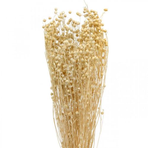 Flachs gebleicht Trockenfloristik Trockengräser 52cm 160g