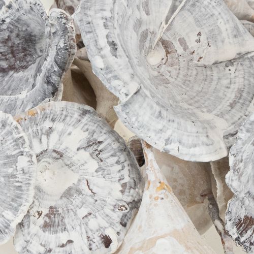 Artikel Kalix Pilz Weiß gewaschen 100 St