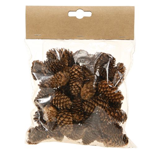 Artikel Kleine Hemlockzapfen Deko Natur Zapfen Advent 3-4cm 100g