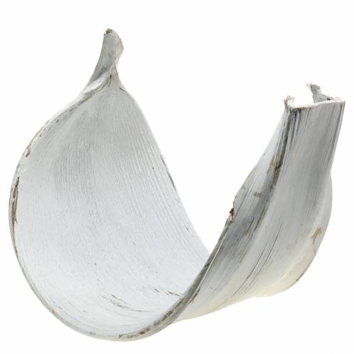 Kokosschale Kokosblatt Weiß gewaschen Naturdeko 35cm