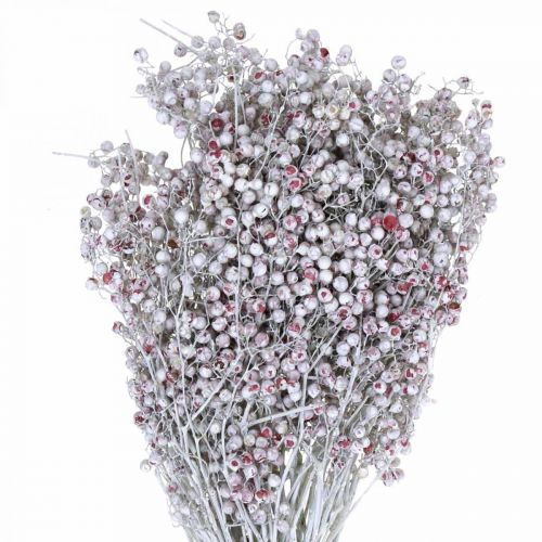 Artikel Pfefferbeere beschneit, Winterdeko, Trockenblumen, Advent, Rosa Pfeffer Weiß gewaschen 170g