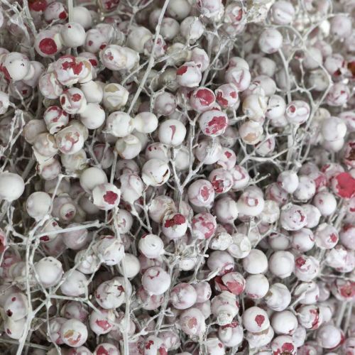 Artikel Pfefferbeere beschneit, Winterdeko, Trockenblumen, Advent, Rosa Pfeffer Weiß gewaschen 170g
