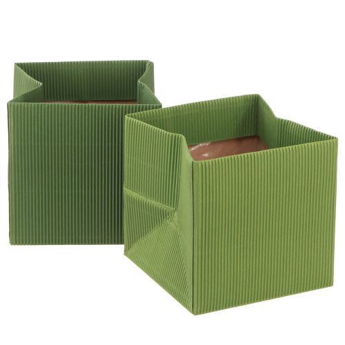 Blumenübertopf Papier Gerippt Olivgrün Grün 12cm 6 St