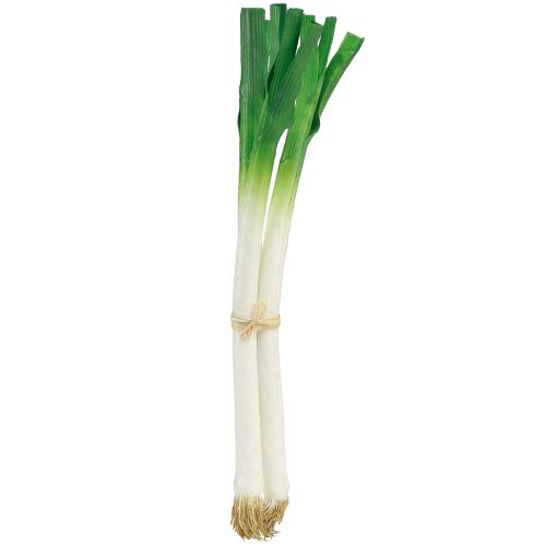 Deko Gemüse Lauchzwiebeln Grün Weiß Ø1cm L28cm 3 St