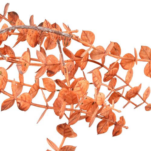 Artikel Eukalyptus künstlich Hänger Herbst Eucalyptus Orange 150cm