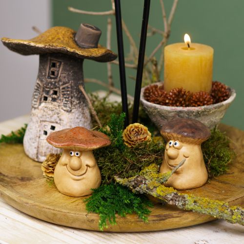 Herbstdeko Set Igel Pilze Drachen – Deko Box günstig kaufen